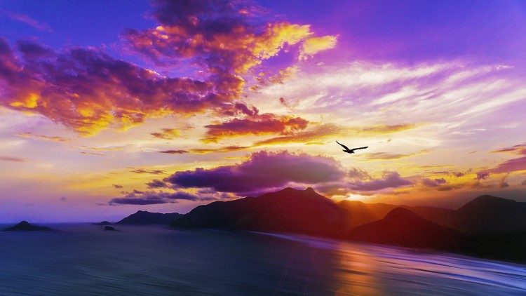 2019.08.0.06 tramonto su isola, gabbiano, cielo, mare