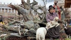 2019.12.04 Presepe Scurelle Trentino Piazza San Pietro 2019 Natale