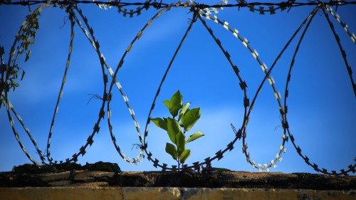 Così la speranza del Giubileo diventa concreta