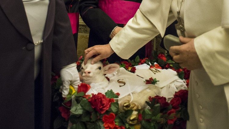 Os cordeiros - foto de arquivo