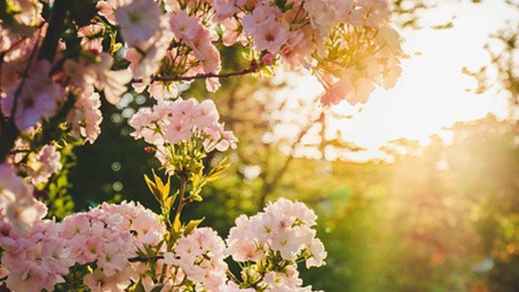 2020.05.07 la speranza, la virtù più piccola ma la più forte