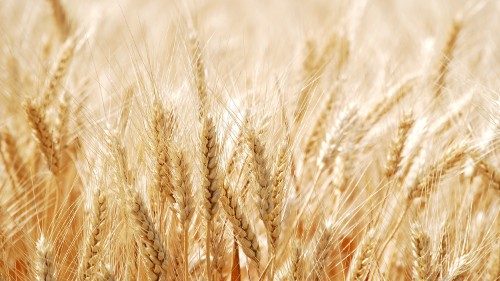 Ks. Kucharek: godzina zbawienia