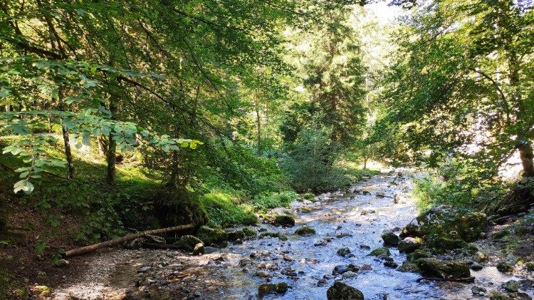 இயற்கைக் காட்சி 