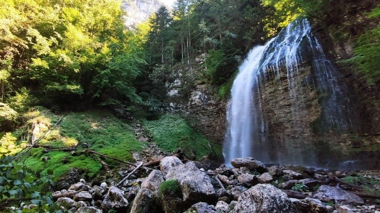 प्रकृति