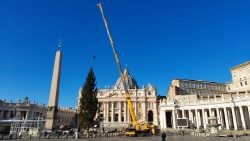 Preparativos para a inauguração da árvore de Natal na Praça São Pedro 