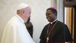 Dom Fortunatus Nwachukwu em audiência com o Papa Francisco (foto de arquivo)