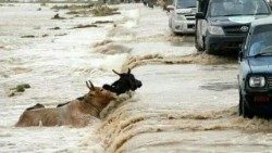 ഒഴുക്കിൽപ്പെട്ട കന്നുകാലികളും നദി കടക്കുന്ന വാഹനങ്ങളും - പാകിസ്താനിൽനിന്നുള്ള ഒരു ഫയൽ ദൃശ്യം