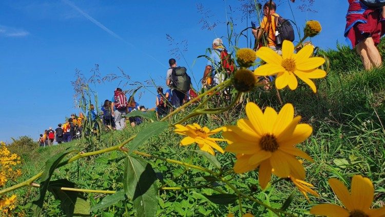 Peregrinos em marcha