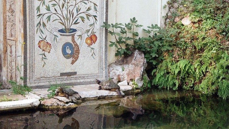 Vatik&aacute;nsk&eacute; zahrady