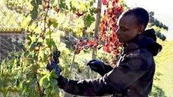 2022.11.20 migranti asti