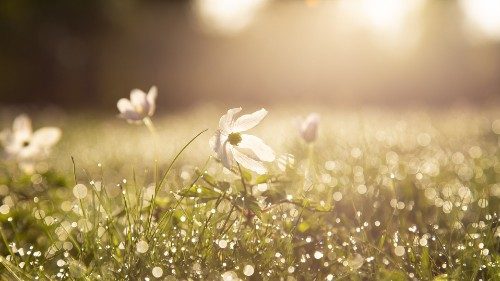 C’est la confiance: 2. Tillitens og kjærlighetens lille vei