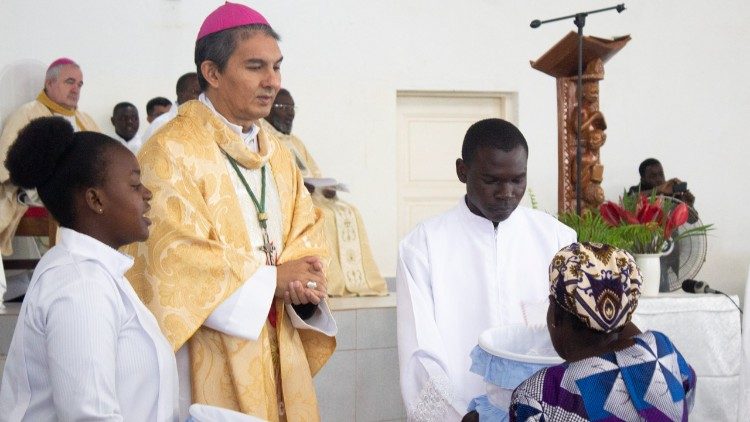 Dom Jo&atilde;o Carlos, Arcebispo de Maputo