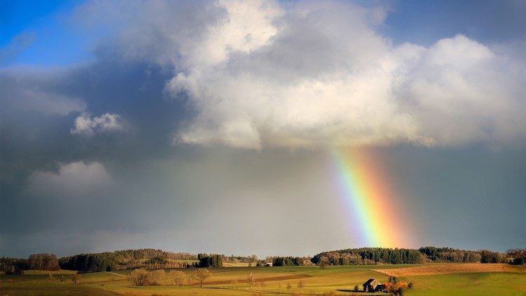 Regenbogen