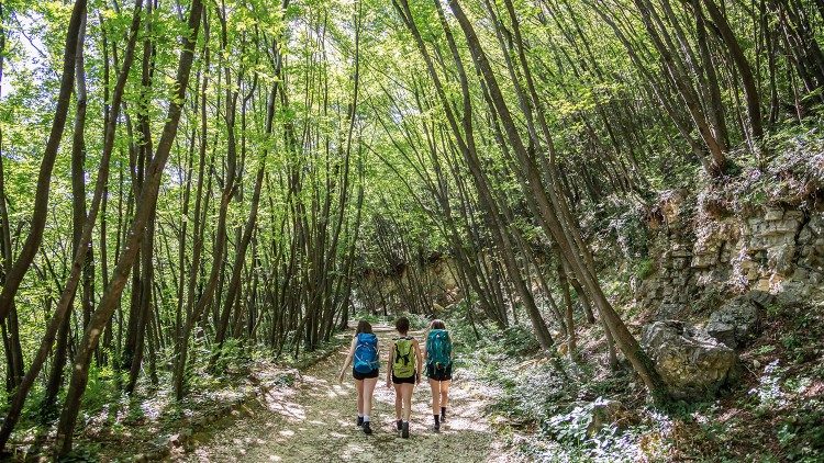 Via delle Sorelle Bergamo e Brescia, nel bosco del Parco delle Colline di Brescia, foto Alessio Guitti