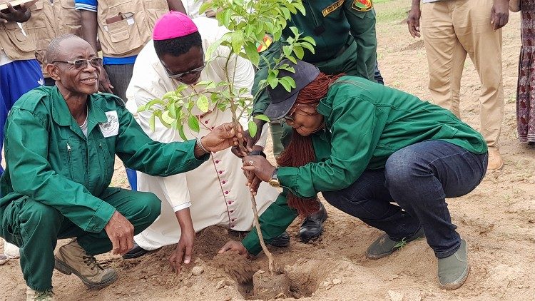  Reboisement dans le diocèse de Maroua-Mokolo dans le nord du Cameroun