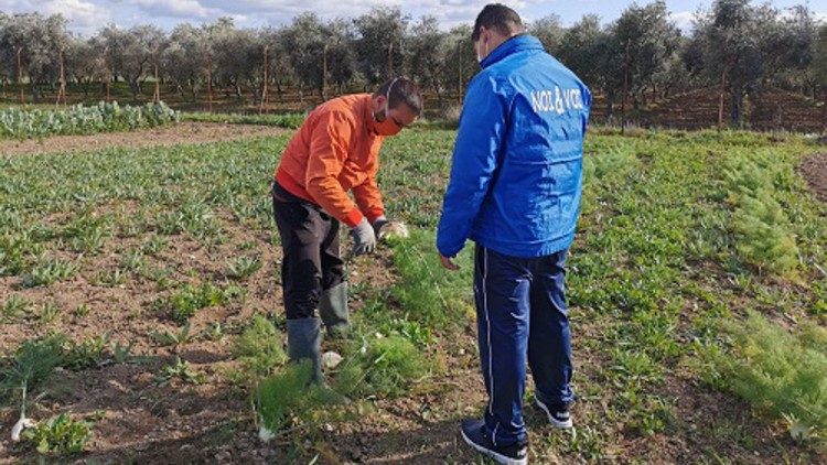 L'orto nel carcere di Magli a Taranto (Noi e Voi)