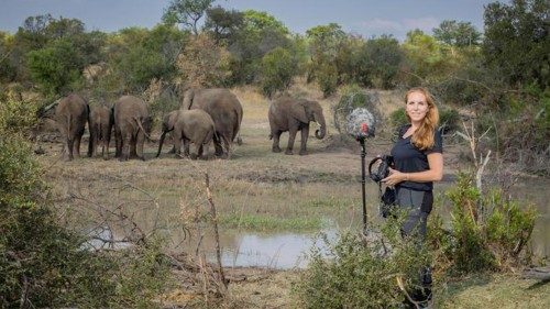 Sommergespräche: Angela Stöger