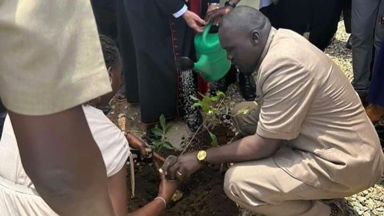 Plantio de árvores como sinal de paz