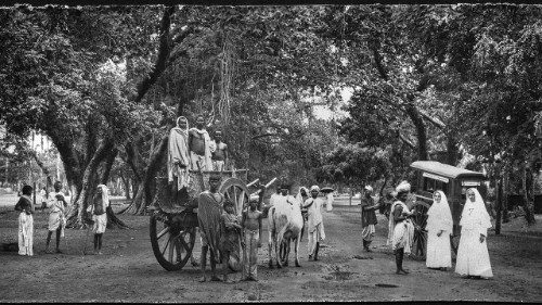 Sisters Project: Eine Ärztin und Ordensfrau auf dem Weg der Heiligkeit