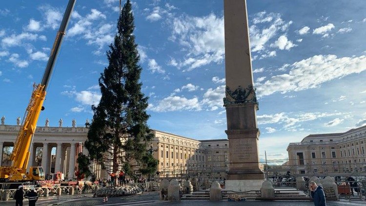 Der Baum steht