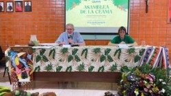 Aportes de la Iglesia amazónica a la XVI Asamblea general del Sínodo de los obispos