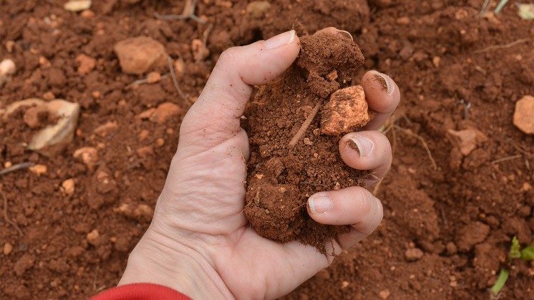 2024.12.17 TENT OF NATIONS