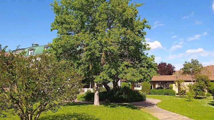 Los jardines han sido creados por arquitectos especializados y se disponen siguiendo recorridos circulares