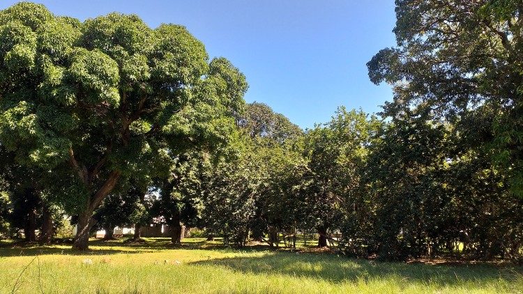 Kutunza mazingira ni wajibu wetu kwa kila kiumbe.