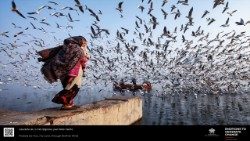 2024.06.27 mostra fotografica "Changes", curata da Lia e Marianna Beltrami, con il Dicastero per la Comunicazione e in collaborazione con il Dicastero per il Servizio dello Sviluppo umano integrale e il Centro di Alta Formazione Laudato Si’