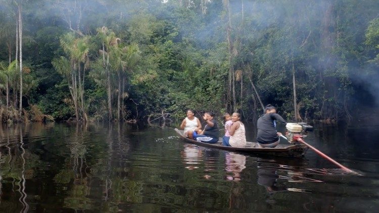 As imagens foram captadas no estado do Amazonas