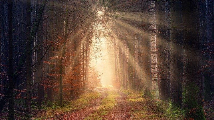 2024.05.26 Il raggio della speranza