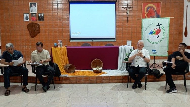 Comissão Ampliada de proteção de Crianças, Adolescentes e Pessoas em situação de Vulnerabilidade do Regional Norte1 da Conferência Nacional dos Bispos do Brasil (CNBB Norte1)