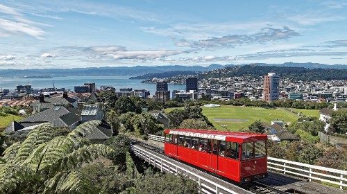 Neuseeland: Keine Anklage gegen Kardinal nach Missbrauchsvorwurf