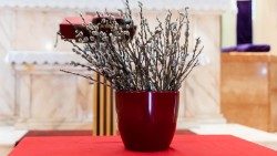 Consideraţii omiletice la Duminica Floriilor (C): Şi noi aşa credem (imagine simbolică)