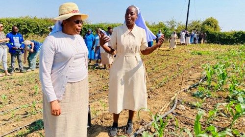 Sambia: Ordensschwestern aktiv für nachhaltige Landwirtschaft 