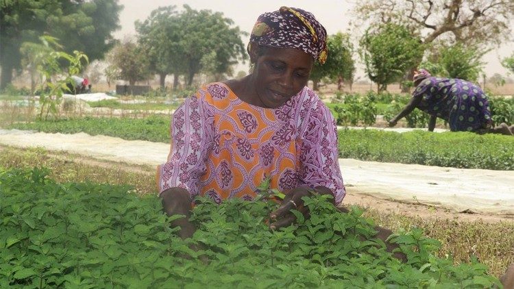 Des femmes en pleine activité agricole