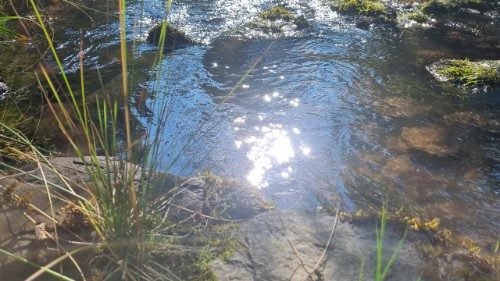 IV. Kristi oppstandelse og utfordringene i dagens verden. 1. Den oppstandne er den levende kilden til vårt håp 