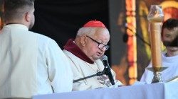 Kard. Stanisław Dziwisz w Casa Polonia