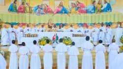 Bei der 20. Versammlung des Symposiums der Bischofskonferenzenvon Afrika und Madagaskar (SECAM)