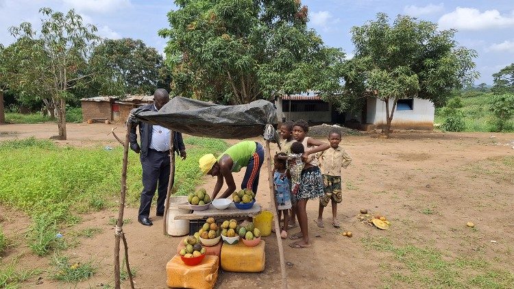 Mercado de fruta em Angola - foto do Lusofonias