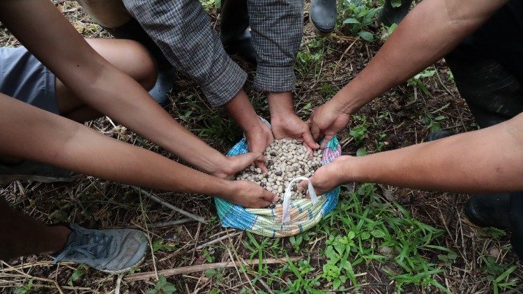 2025.08.05 Piattaforma Saber Repam