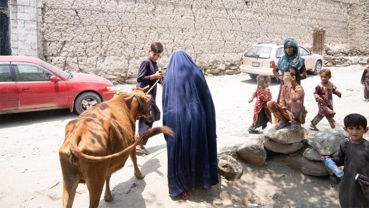Família afegã em uma zona rural
