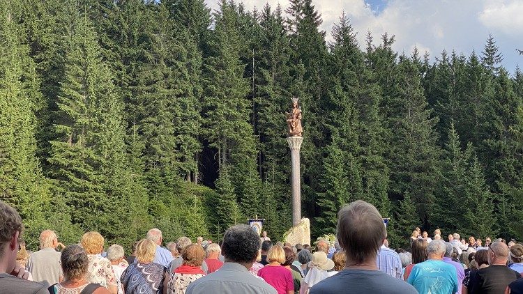 WIele os&oacute;b przybyło na odsłonięcie kolumny. Fot. Krzysztof Bronk