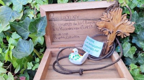 Obispos de la Panamazonía envían al Papa símbolos de la pastoral amazónica 