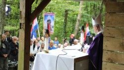 Zagrebački nadbiskup Dražen Kutleša tijekom mise pokraj Sošica (TUZGN)