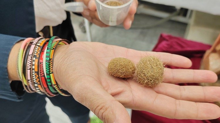 El uso de posidonia en la restauración