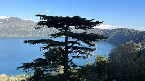 Vatikan führt Umweltschutz-Messe ein