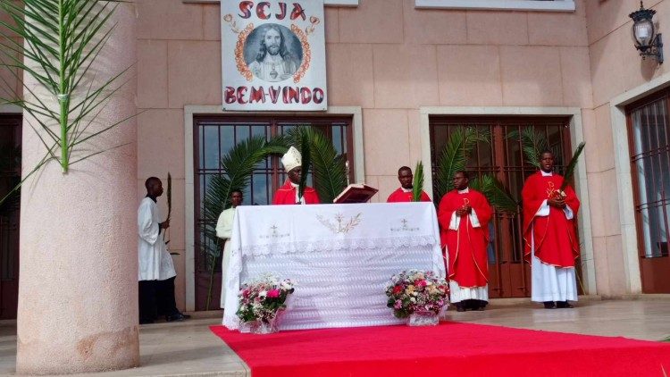Dom Francisco Fernando celebra a missa do Domingo de Ramos