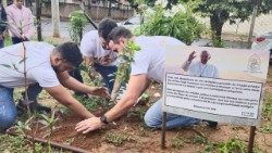 Francisco vive: lideranças plantam árvores em homenagem ao Papa