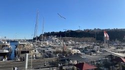 Le port de la Principauté de Monaco